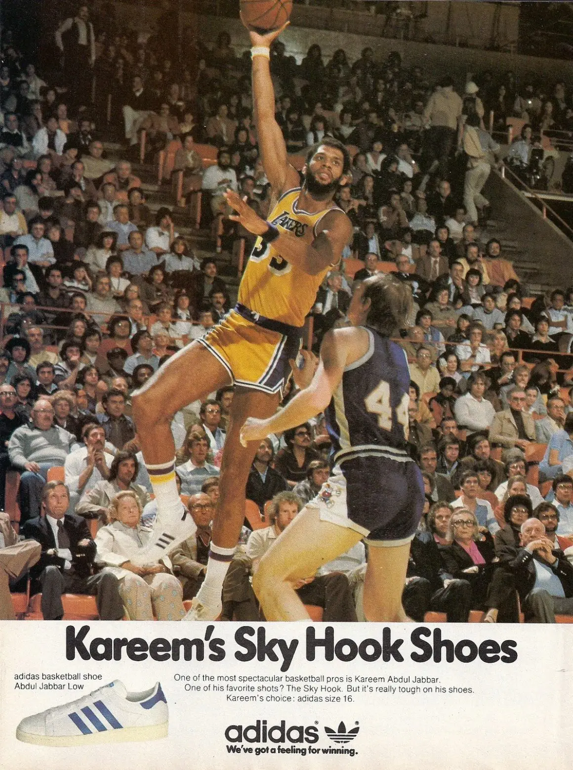 Les Superstar aux pieds de Kareem Abdul Jabbar