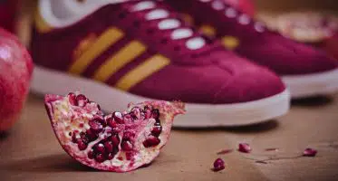 adidas Gazelle Collegiate Burgundy