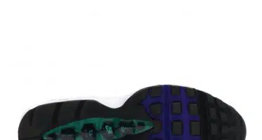 Nike Air Max 95 "Grape" 307960-109