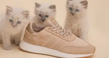 Sneakersnstuff x adidas I-5923