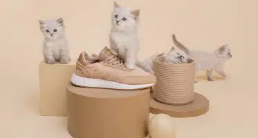 Sneakersnstuff x adidas I-5923