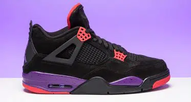 Air Jordan 4 Retro NRG "Raptors"