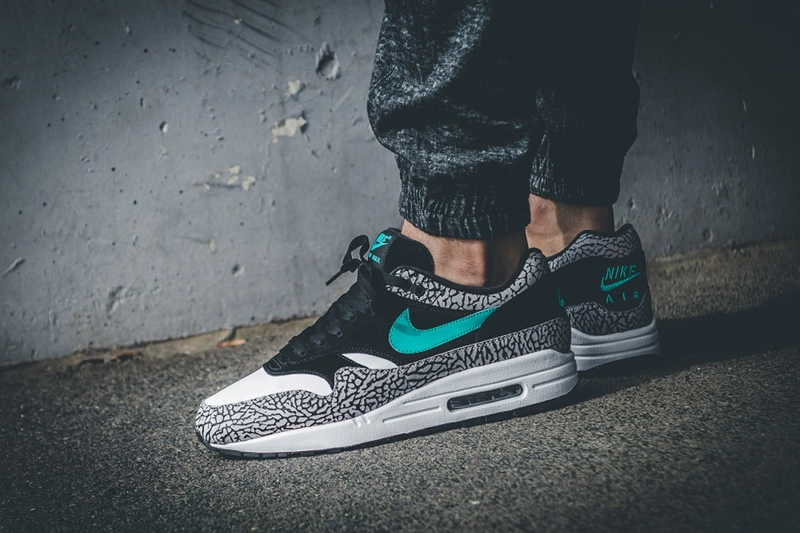 atmos x Nike Air Max 1 ‘’Elephant’’ - 2007