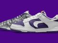 Nike Dunk Low ‘’Flip The Old School’’ - DJ4636-100