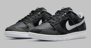 NikeDunk Low ‘’Zebra’’