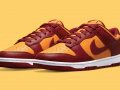 Nike Dunk Low ‘’Midas Gold’’ - DD1391-701