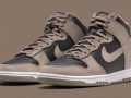 Nike Dunk High WMNS ‘’Moon Fossil’’ - DD1869-002