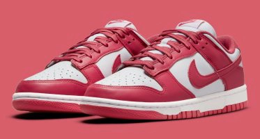 NikeDunk Low ‘’Archeo Pink’’