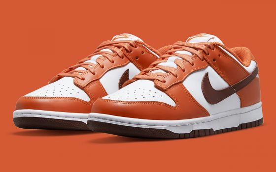 Nike Dunk Low WMNS ‘’Bronze Eclipse’’ - DQ4697-800