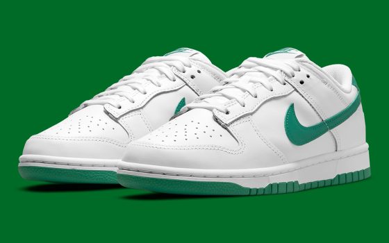 Nike Dunk Low WMNS ‘’Green Noise’’ - DD1503-112