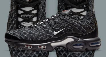 NikeAir Max Plus ‘’France’’