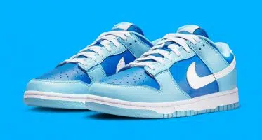 NikeDunk Low ‘’Argon’’