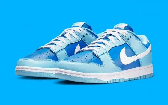 Nike Dunk Low ‘’Argon’’ - 2022 - DM0121-400
