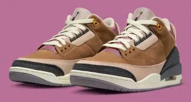 Air Jordan3 Retro SE ’’Archaeo Brown’’