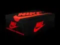 Nike sneakers box