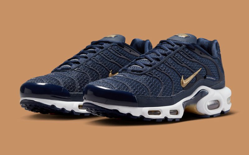 nike air max plus tn fff equipe de france FB3350 400 800x500