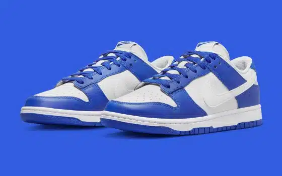 Nike Dunk Low ‘’Kentucky Alternate’’ - FN3416-001