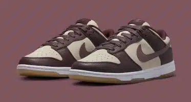 NikeDunk Low ‘’Plum Eclipse’’