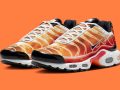 Nike Air Max Plus ‘’Light Photography’’ - DZ3531-600