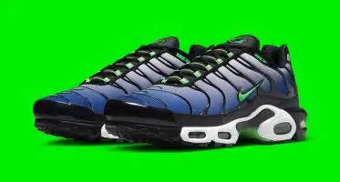 NikeAir Max Plus ‘’Icons’’