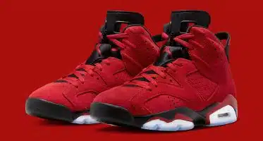 Air Jordan6 ‘’Toro Bravo’’