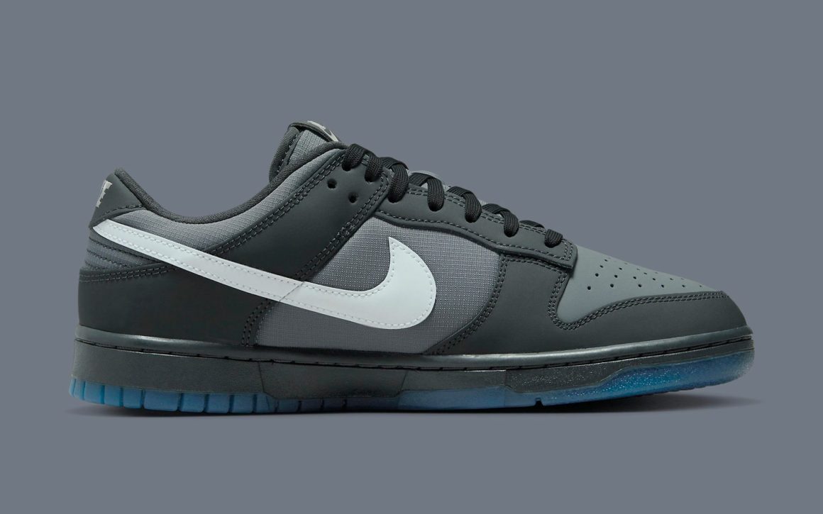 Nike Dunk Low ‘’Anthracite’’ - FV0384-001