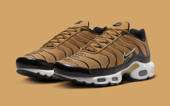 nike air max plus tn wheat black DM0032 700 560x350