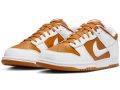 Nike Dunk Low ‘’Reverse Curry’’ - FQ6965-700