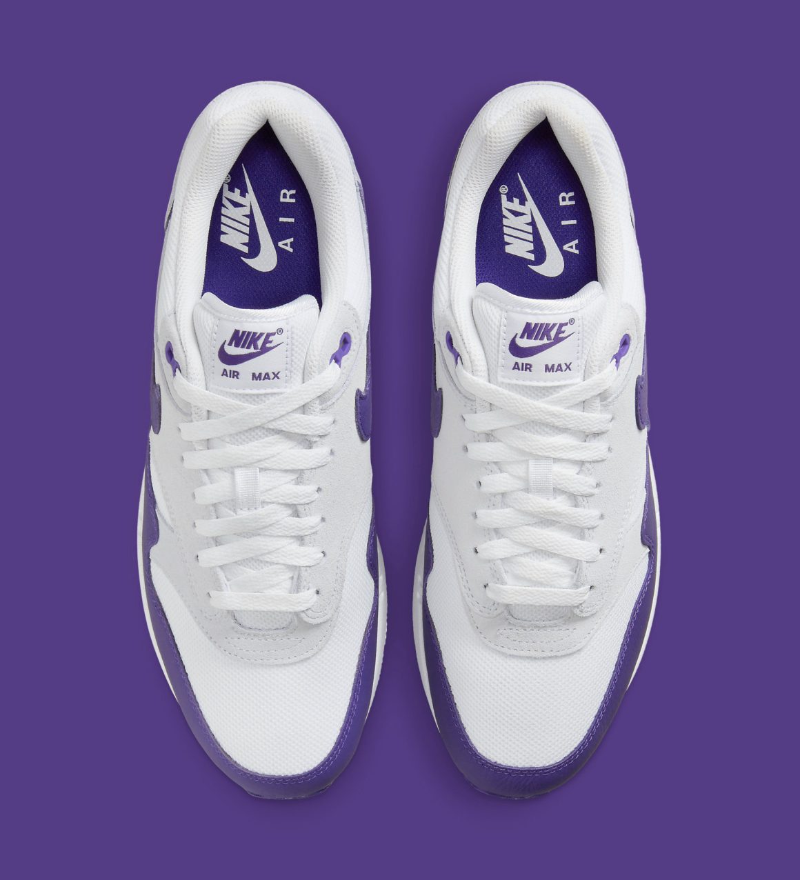 Nike Air Max 1 SC ‘’Field Purple’’ - DZ4549-101