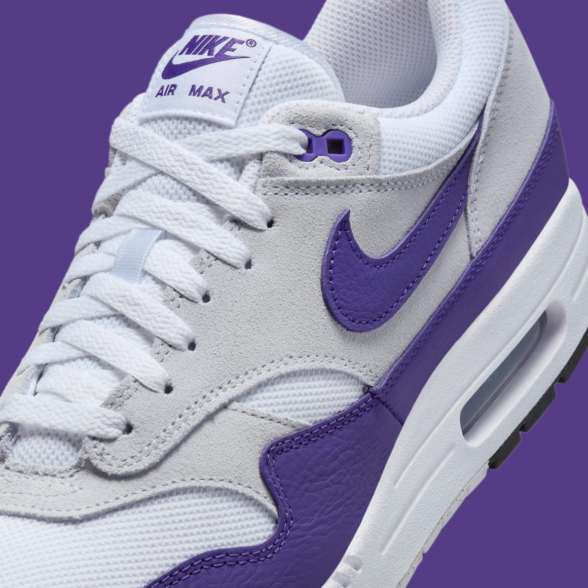 Nike Air Max 1 SC ‘’Field Purple’’ - DZ4549-101