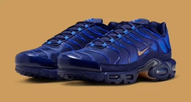 NikeAir Max Plus Tn OG ‘’French Football Federation’’