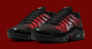 NikeAir Max Plus Tn ‘’Flairemax’’