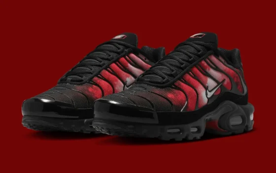 Nike Air Max Plus Tn ‘’Flairemax’’ - IR1998-001
