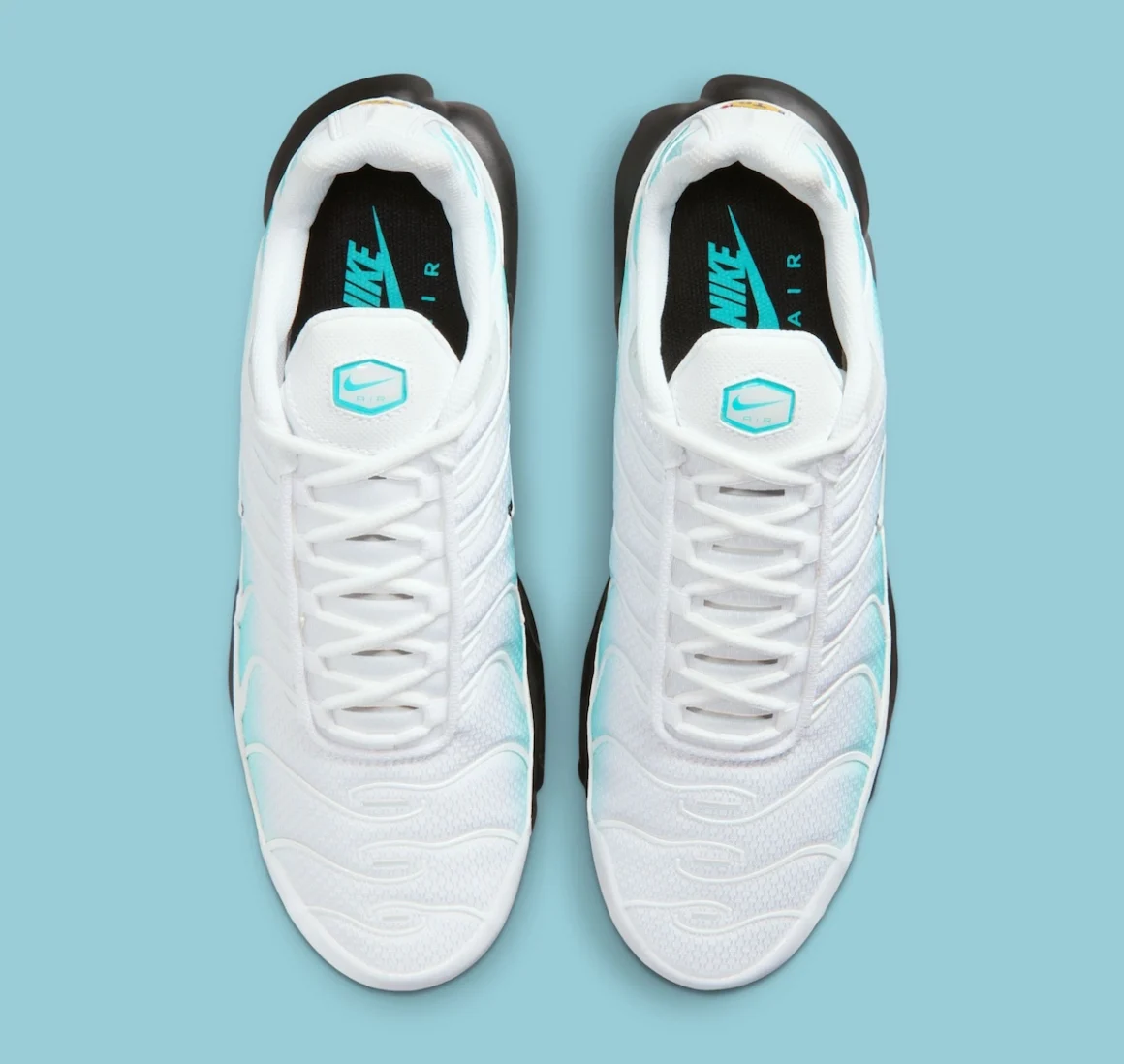 Nike Air Max Plus Tn ‘’Dusty Cactus’’ - IU7539-345