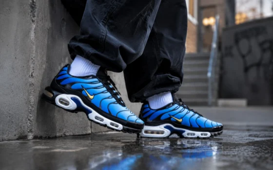 Nike Air Max Plus TN : guide des coloris et où trouver les meilleures paires