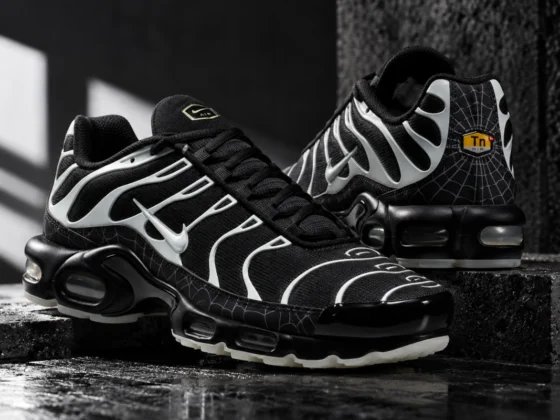 Nike Air Max Plus Tn ‘’Spider Web’’ (2026) - DD4004-001