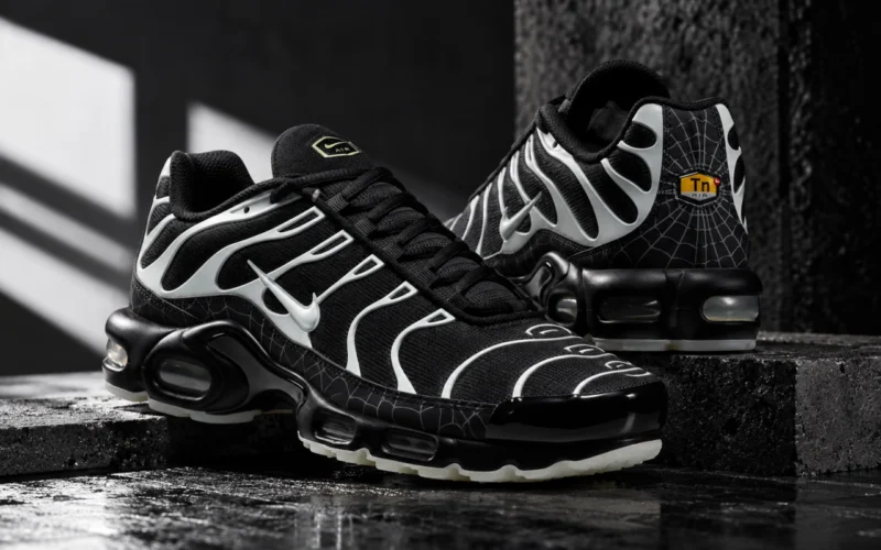 Nike Air Max Plus Tn ‘’Spider Web’’ (2026) - DD4004-001